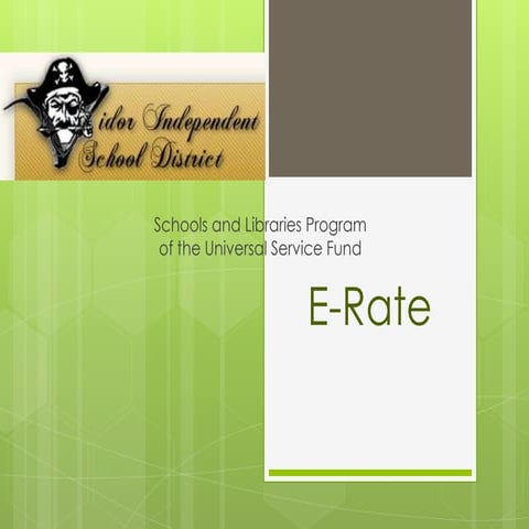 E rate vidor isd