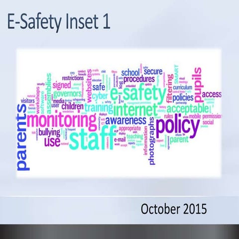 E-safety Guidance for Practitioners | PDF
