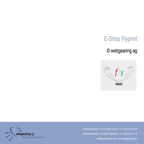 E-Shop Flyprint