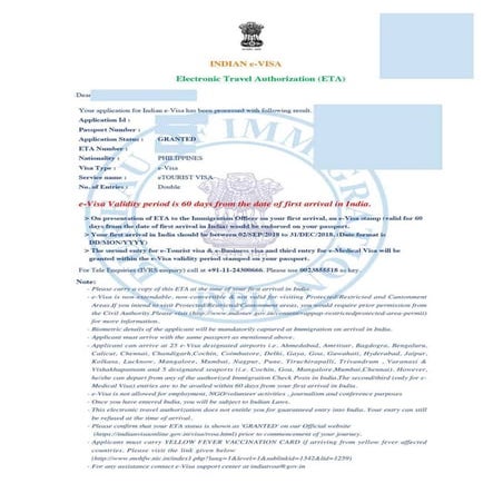 E visa | PDF