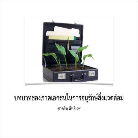 บทบาทของภาคธุรกิจในการอนุรักษ์สิ่งแวดล้อม