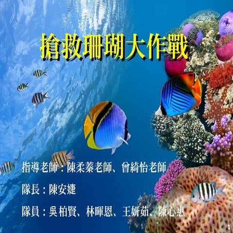 《搶救珊瑚大作戰》2013北區四縣市專題寫作比賽總決賽PPT