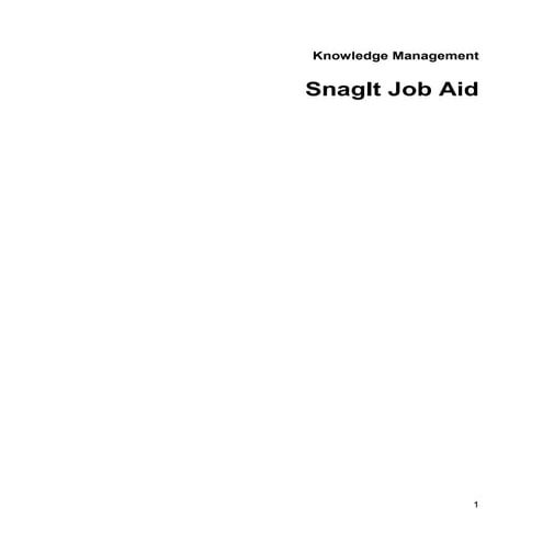 SnagIt Job Aid
