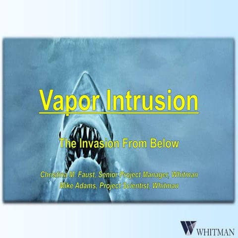 VI Presentation cmf | PPT