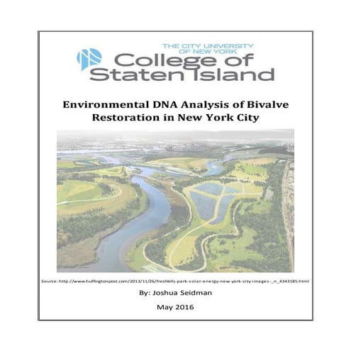 Joshua Seidman Honors Thesis Rough Draft 2.4 enm