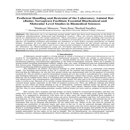 Proficient Handling and Restraint of the Laboratory Animal Rat (Rattus Norveg...