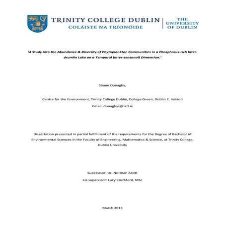 Shane Donaghy (2013) Dissertation (Full Text)