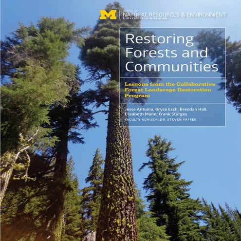 Executive Summary - web quality