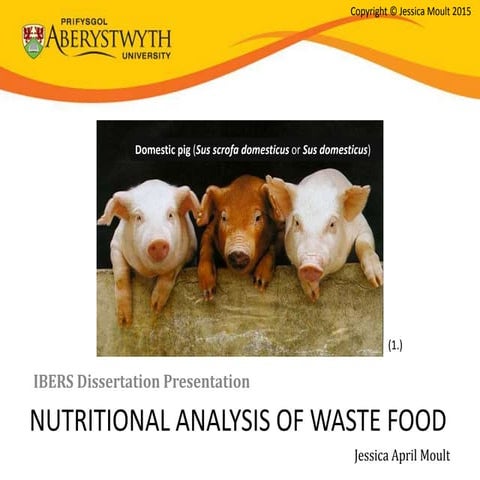 dis presentation jam65