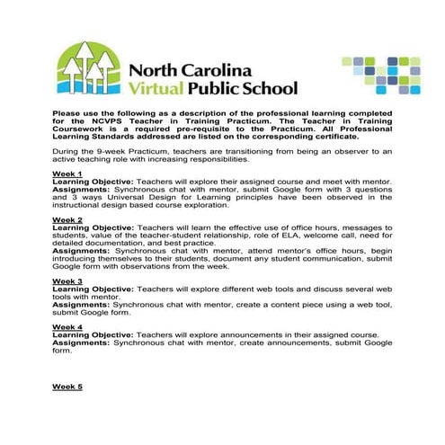 CEU Course Description TnT Practicum