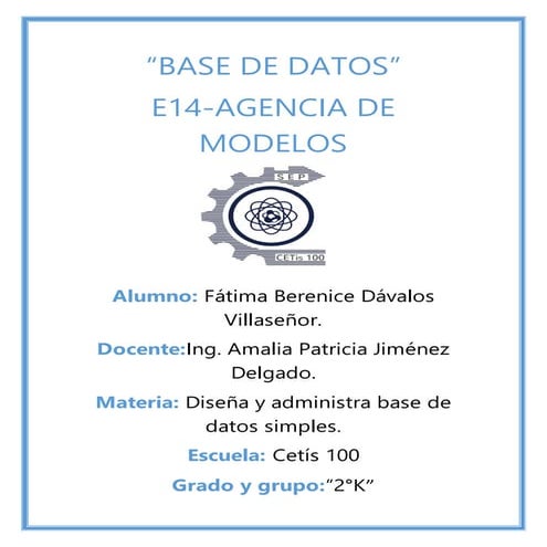 E13-DISTRIBUIDORA DE COSMETICOS