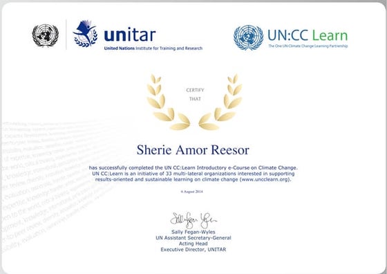 Sherie Amor Reesor MEEC | PDF