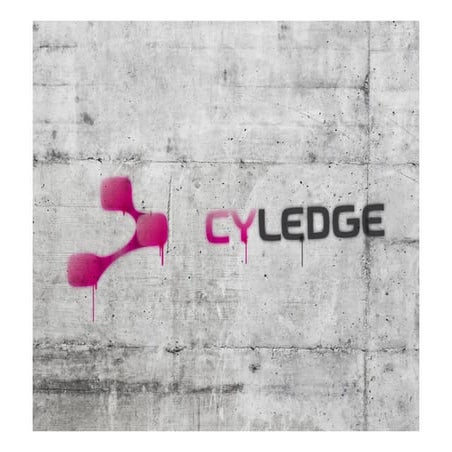 E2020_ mass customization creating customer value in e-commerce_paul_blazek