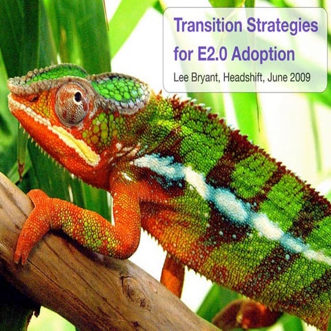 E20 Transition Strategies