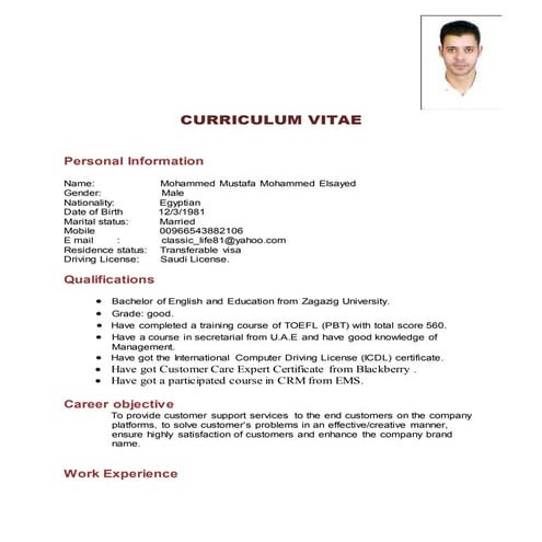 final CV | PDF