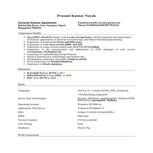 Prasant_nayak_NthDimenzion _4Yr_Exp