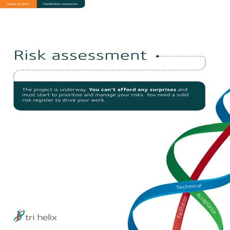 Project risk management workshops | PPT