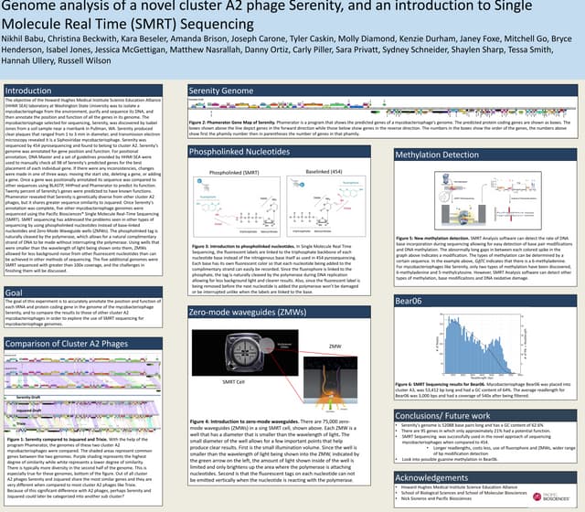 HHMI Poster