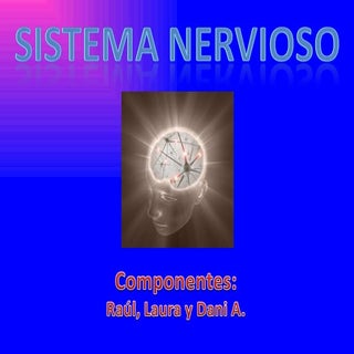 E2 power point sistema nervioso