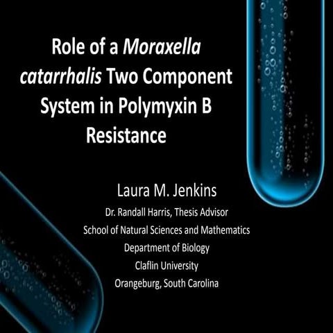 4thFinalThesisDefense_PowerPoint_LauraJenkins