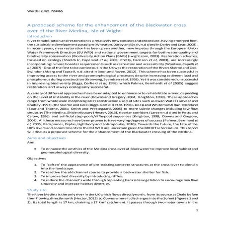 River Medina restoration report