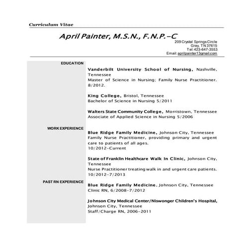 Curriculum Vitae | PDF