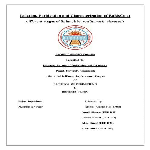 UIET FINAL YEAR PROJECT REPORT | DOCX