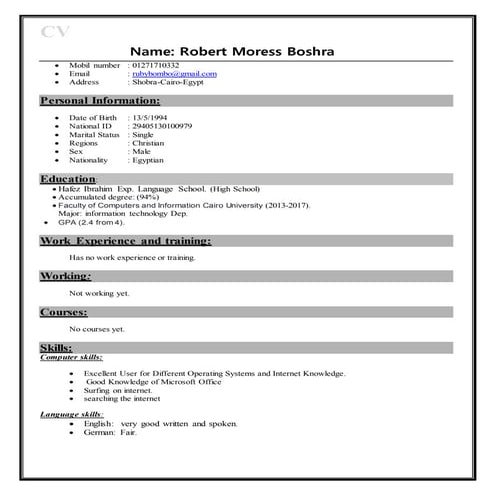 My cv form | DOC