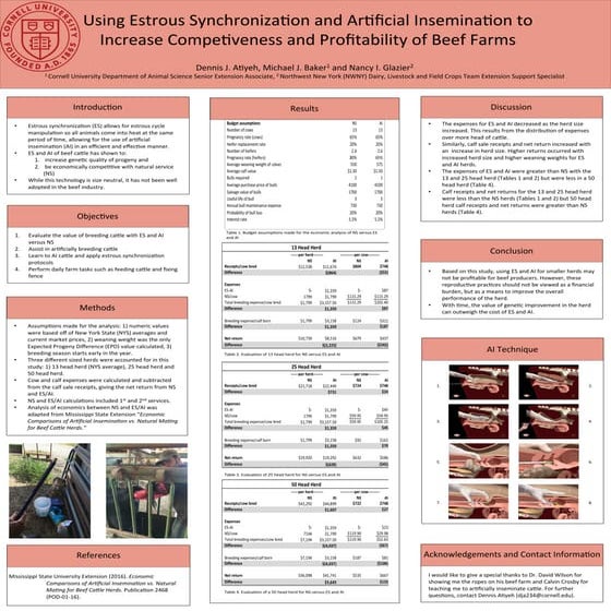 CCE Summer Internship Poster 2016