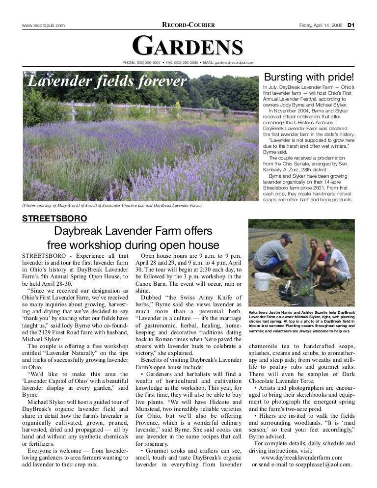 Daybreak Lavender Farm