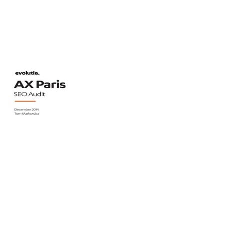 AX Paris Audit and Analysis