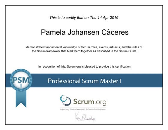 PSM I | PDF