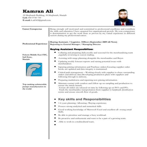 Kamran CV---PDFB