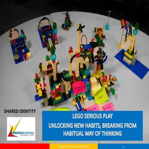 LSP LEGO BROCHURE (2)