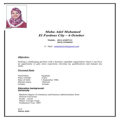C.V. ALAA | PDF