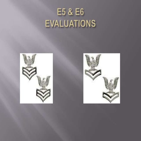 Navy Evaluation and Fitness Report Writing
