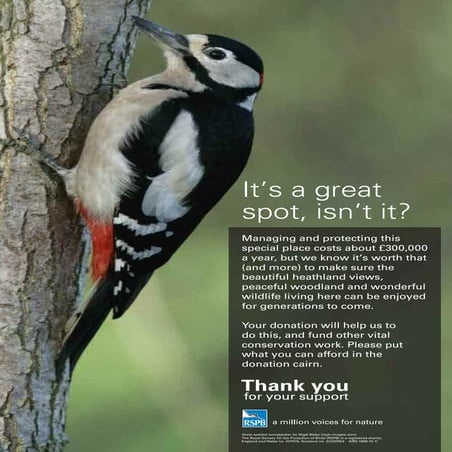 FINAL Arne donation sign_A4 donation sign