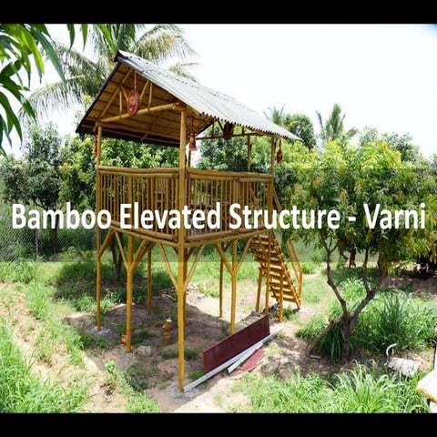 Bamboo Structure on Elevated Platform | PPTX
