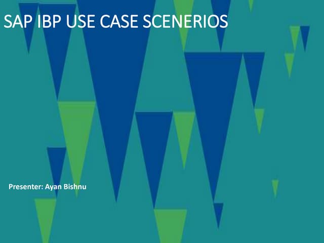IBP Implementation Analysis