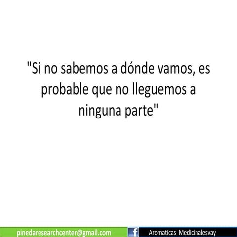 PLAN ESTRATEGICO PLANTAS AROMATICAS MEDICINALES Y AFINES