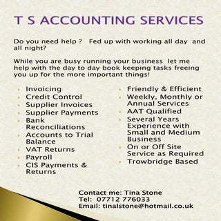 TS Accounting Services Flyer