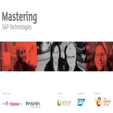 Mastering SAP Technologies 2013 - Jan Coetzee - PCS - Enhancement Packs