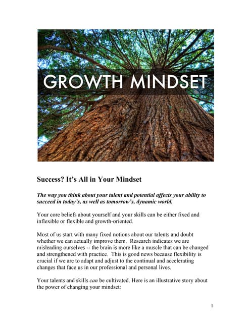 Growth Mindset final