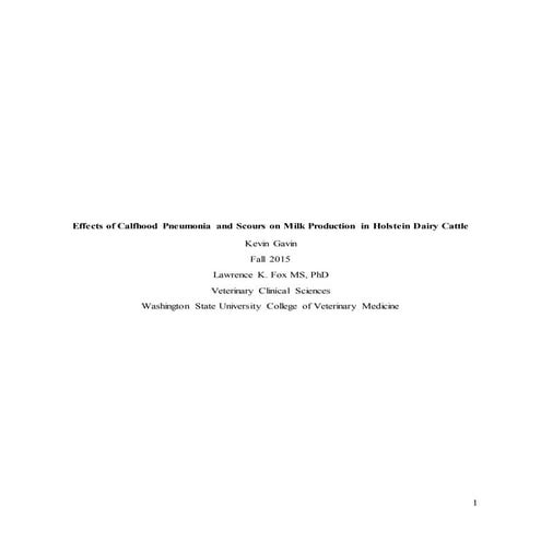 Kevin Gavin Honors Thesis