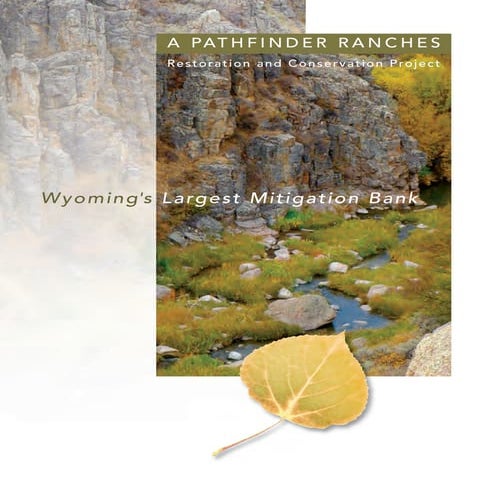 PathfinderEcoBlu.Book(Partial)