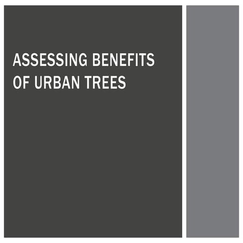 Assessing Benefits of Urban Trees
