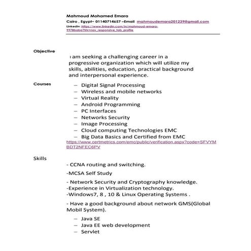 mahoudEmara cv