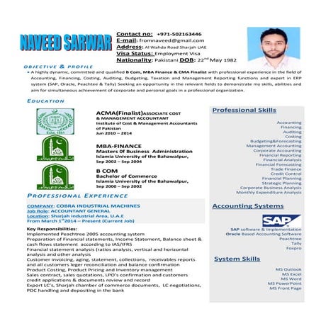 CV NAVEED-Accounting Professional