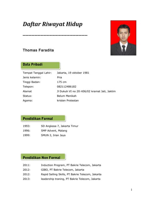 Cv Thomas Faradta