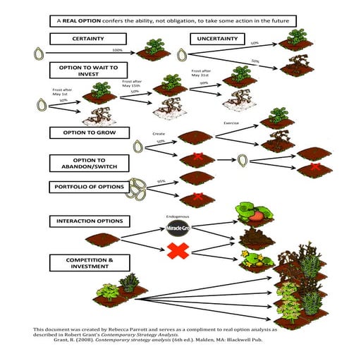 Grant's Real Options Garden | PDF
